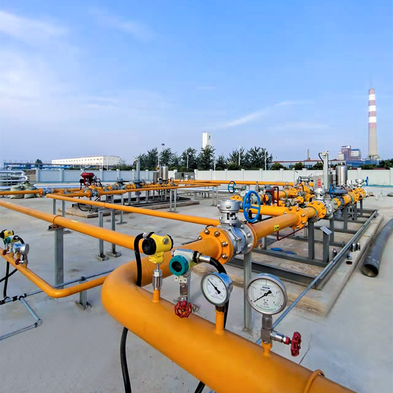 Pressure Regulating And Metering Skids